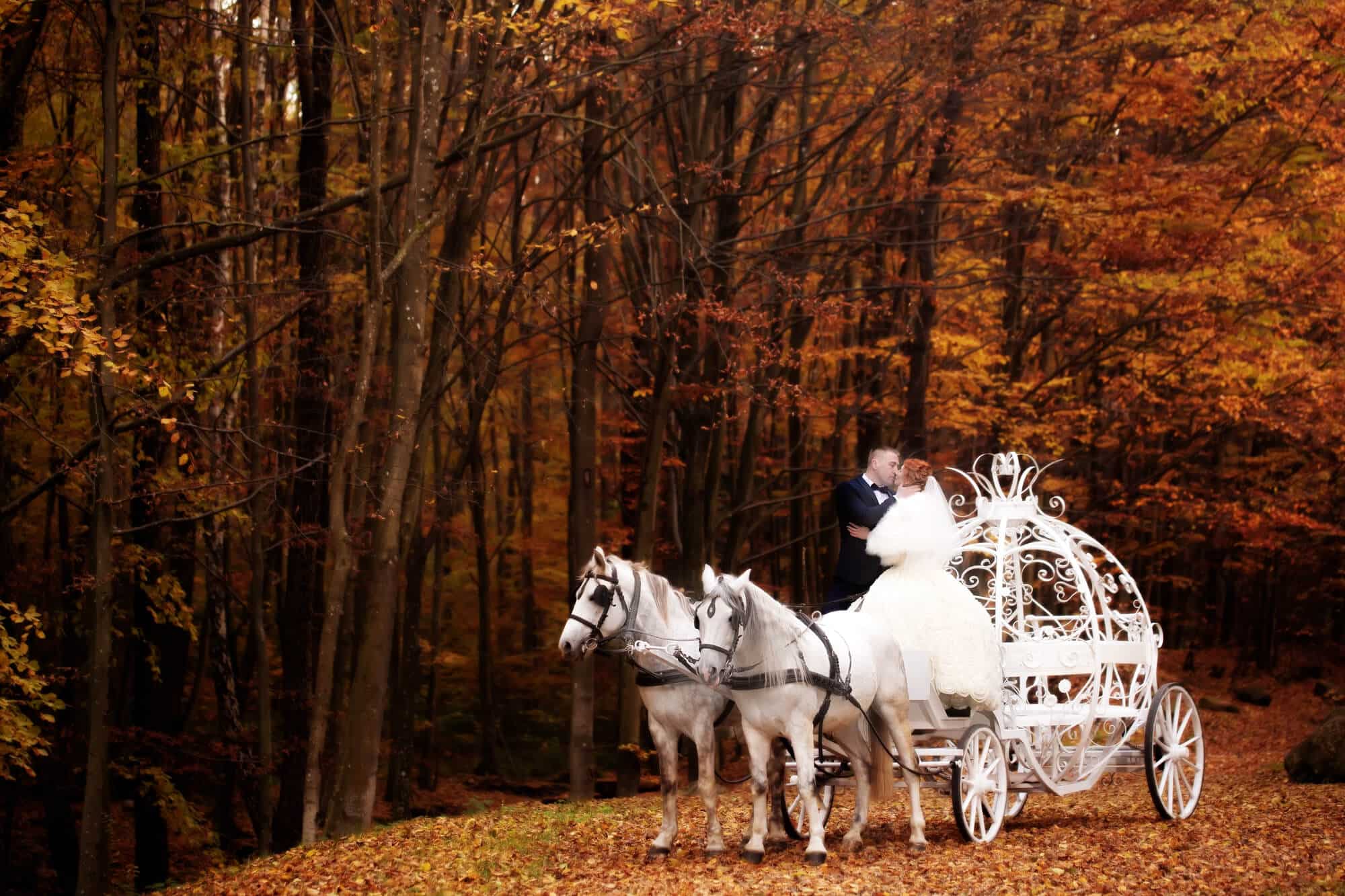 Ein Paar umarmt sich auf einer weißen Hochzeitskutsche in Kürbisform, umgeben von einem Wald mit leuchtendem Herbstlaub. Die Szene ruft eine märchenhafte Atmosphäre hervor.